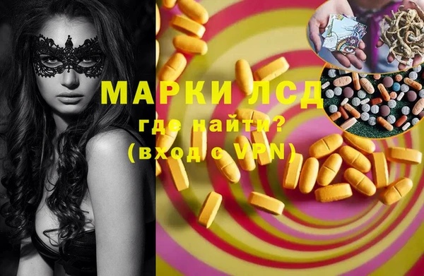 ПСИЛОЦИБИНОВЫЕ ГРИБЫ Баксан