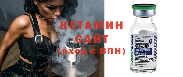 трава Няндома