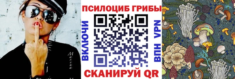 Псилоцибиновые грибы Psilocybine cubensis Краснодар